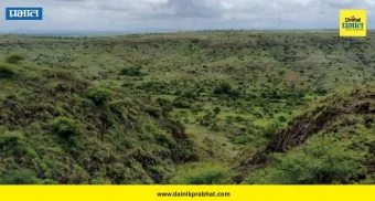 Satara Forest Department : माणदेशातील माळरानाला मिळणार 'कवच'! किरकसाल-कुकुडवाडसाठी वन विभागाचा मोठा प्लॅन तयार