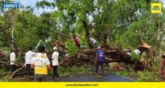 Tree Collapse : फॉर्च्युनर थोडक्यात बचावली! वादळी वाऱ्यामुळे महाकाय झाड कोसळलं; कुरुंगवडीतील थरारक घटना