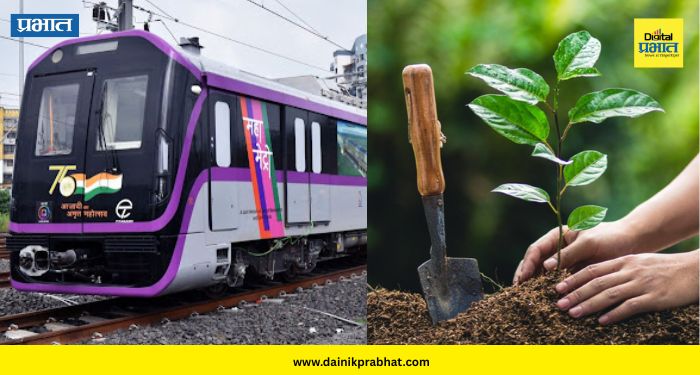 Pune Metro : मेट्रो ४१ हजार झाडे कोठे लावणार ? पर्यावरणप्रेमींनी महामेट्रोला विचारले अनेक प्रश्न