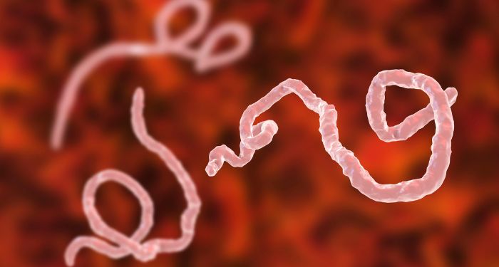 Ebola