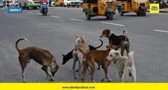 अग्रलेख : भटक्या कुत्र्यांचा प्रश्न
