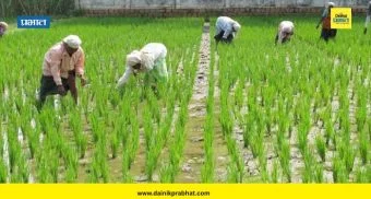 Farmer Loan Waiver : सरकारने कर्जमाफी संदर्भात घेतले तडकाफडकी 'हे' दोन मोठे निर्णय; बँकांना दिले थेट आदेश