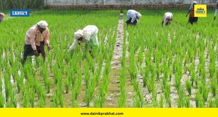 Farmer Loan Waiver : सरकारने कर्जमाफी संदर्भात घेतले तडकाफडकी ‘हे’ दोन मोठे निर्णय; बँकांना दिले थेट आदेश