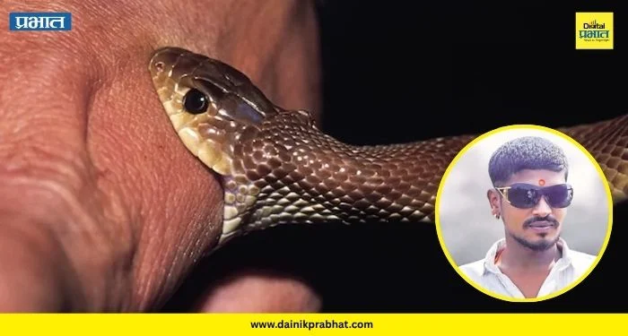 Snake Bite Death : साप पकडताना घात झाला! थेऊरमधील २१ वर्षीय धाडसी सर्पमित्राचा सर्पदंशाने दुर्दैवी अंत
