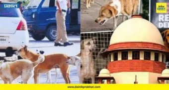Stray Dogs Case Verdict: सर्वोच्च न्यायालयाचा भटक्या श्वानांबाबत महत्त्वपूर्ण निकाल ; सार्वजनिक ठिकाणांहून हटवण्याचा आदेश कायम