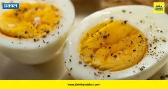 Egg: रोज अंडे खाल तर शरीर बनेल मजबूत! जाणून घ्या अंड्याचे जबरदस्त फायदे