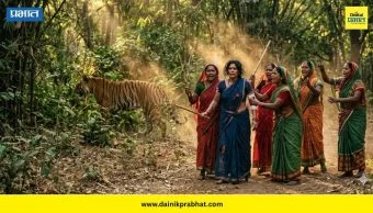 Chandrapur : भयानक घटना! दबा धरून बसलेल्या वाघाचा 13 जणांवर हल्ला; 4 महिलांचा जागीच मृत्यू