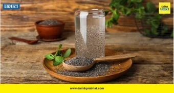 Chia Seeds: रोज चिया सीड्स खाताय? फायदे जितके मोठे, तितकेच नुकसानही जाणून घ्या