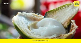 Coconut Malai: नारळाच्या मलईतही भरपूर पोषण! शरीराला मिळू शकतात अनेक फायदे