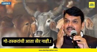 Maharashtra Cow Smuggling : गो-तस्करांची आता खैर नाही.! फडणवीस सरकारने घेतला कडक निर्णय