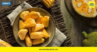 Jackfruit: फणस ठरतोय सुपरफूड! चवदारच नाही तर आरोग्यासाठीही जबरदस्त फायदेशीर