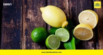 Lemon Storage Tips: “लिंबू लवकर खराब होतात? हे सोपे टिप्स वापरा आणि २–३ आठवडे लिंबू ताजे ठेवा!”