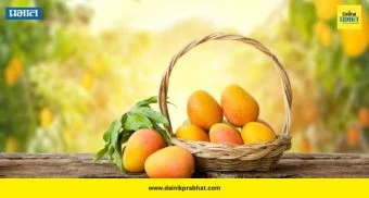 Mango Eating Tips: आंबा खाण्यापूर्वी पाण्यात भिजवणं का गरजेचं? जाणून घ्या ‘फळांच्या राजाचे’ भन्नाट फायदे!