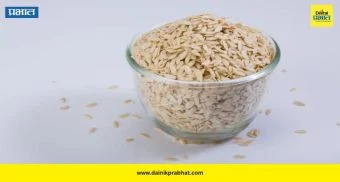 Muskmelon Seeds: छोट्या बिया, मोठे फायदे; महिलांनी आहारात नक्की करा 'या' बियांचा समावेश