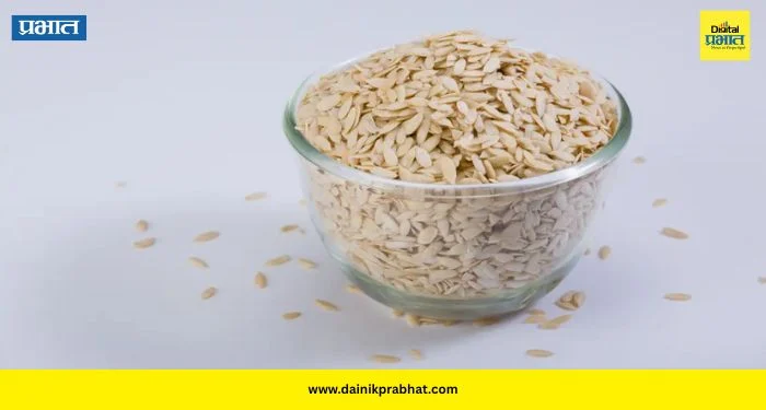 Muskmelon Seeds: छोट्या बिया, मोठे फायदे; महिलांनी आहारात नक्की करा ‘या’ बियांचा समावेश