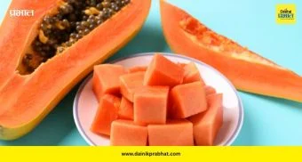 Papaya Benefits: पपईचे फायदे ऐकून व्हाल थक्क! हाडं मजबूत करण्यापासून केस गळती रोखण्यापर्यंत जबरदस्त फायदे