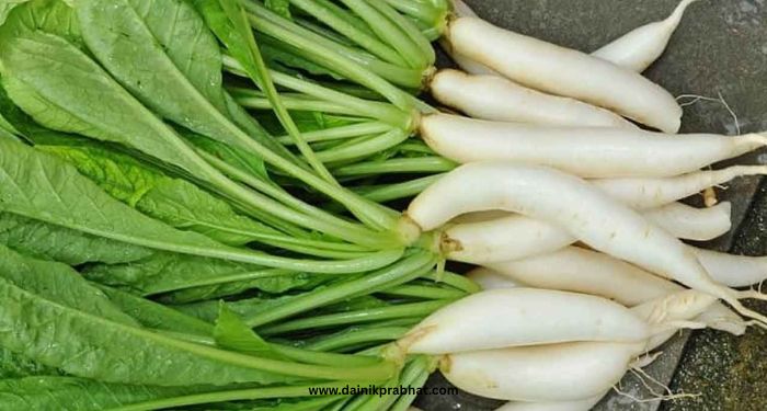 Radish Leaves: ‘या’ हिरव्या पानांत दडलंय अनेक आजारांवरचं नैसर्गिक औषध