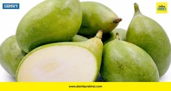 Raw Mango: उन्हाळ्यातील नैसर्गिक संरक्षण! कच्ची कैरी ठरते उष्माघातावर रामबाण उपाय