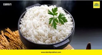 Rice Eating Tips: रोज भात खाल्ल्याने वजन वाढतं का? जाणून घ्या तज्ज्ञ काय सांगतात