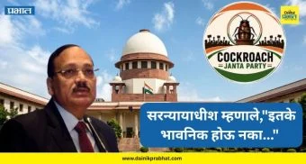 supreme court: 'कॉकरोच जनता पार्टी’च्या विरोधात सर्वोच्च न्यायालयात याचिका ; सरन्यायाधीश म्हणाले,"इतके भावनिक होऊ नका"