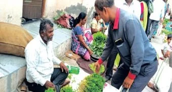 Pune District : वाल्हे बाजारात कोथिंबीर ६० रूपये जुडी भाव; आठवठ्याचे गणित कोलमडले : ग्राहकांना झळ