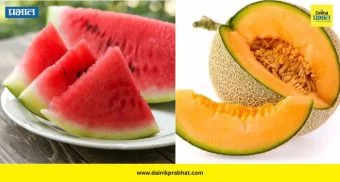 Watermelon or Muskmelon: उन्हाळ्यात टरबूज की खरबूज? जाणून घ्या कोणतं फळ आरोग्यासाठी जास्त फायदेशीर