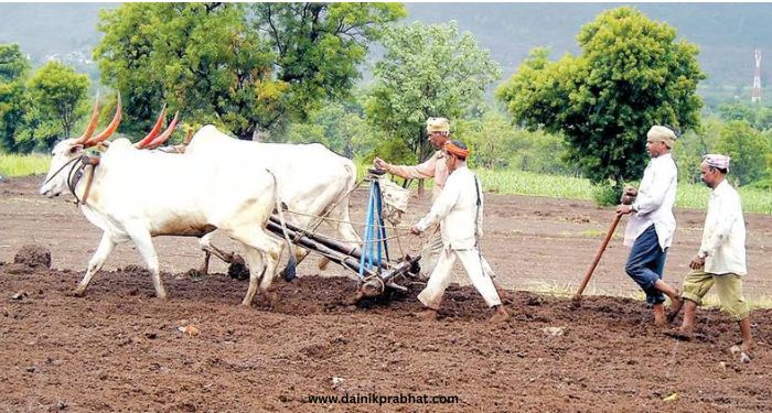 Agriculture