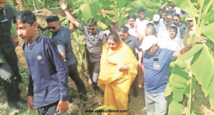 Baramati banana crop damage