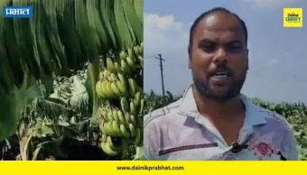 Shirur News : एका पावसाने होत्याचं नव्हतं केलं; शेतकरी प्रभाकर राऊत यांची केळी बाग जमीनदोस्त
