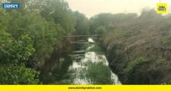 Khadakwasla Canal: अखेर संघर्ष फळाला! खडकवासल्याचे पाणी पोहचले; इंदापूरच्या शेतकऱ्यांना मोठा दिलासा