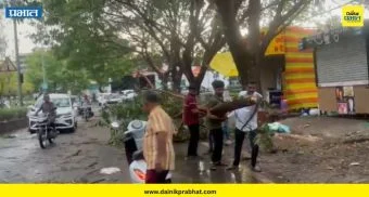 Baramati News : बारामतीत पहिल्याच पावसात दाणादाण! सोसाट्याच्या वाऱ्यासह अनेक ठिकाणी झाडे कोसळली, रस्त्यांना आले तळ्याचे स्वरूप
