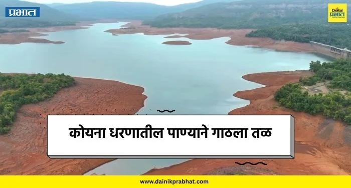 Koynanagar : कोयना धरणातील पाण्याने गाठला तळ