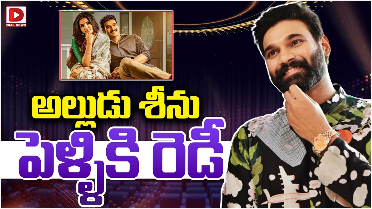 అల్లుడు శీను పెళ్ళికి రెడీ…!