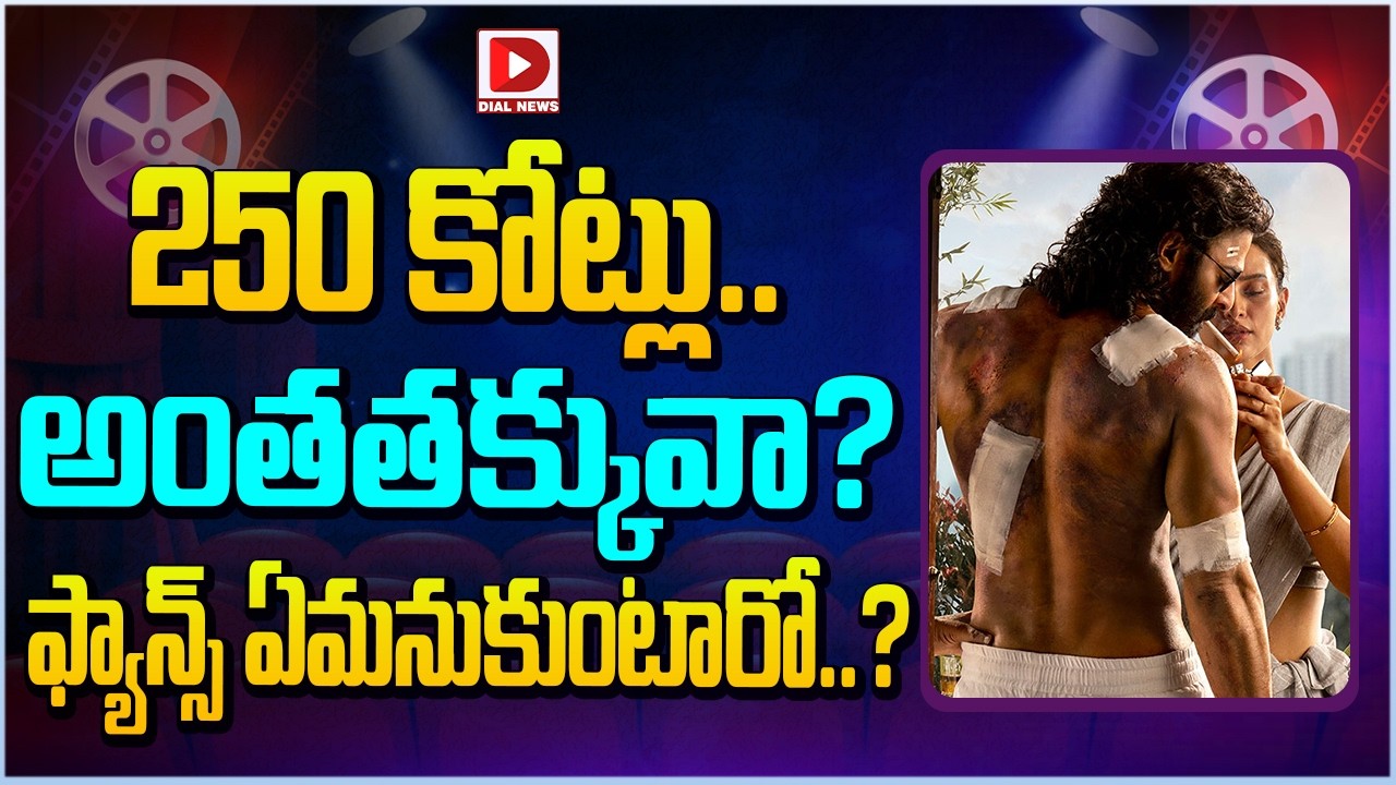 250 కోట్లు.. అంతతక్కువా? ఫ్యాన్స్ ఏమనుకుంటారో..?