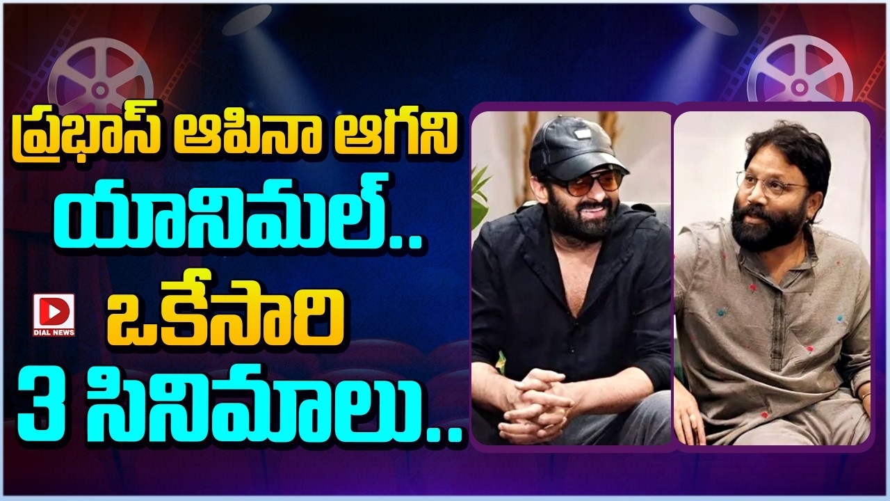 ప్రభాస్ ఆపినా ఆగని యానిమల్… ఒకేసారి 3 సినిమాలు…!