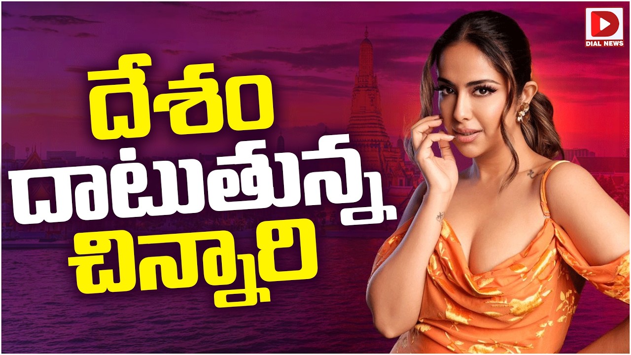 దేశం దాటుతున్న చిన్నారి…!