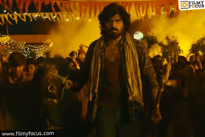 Maremma Teaser Sets Strong Expectations