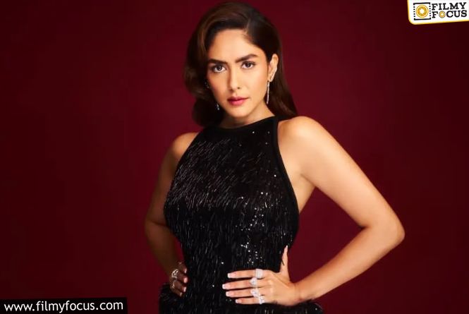 Mrunal Laughs Off Media Speculation