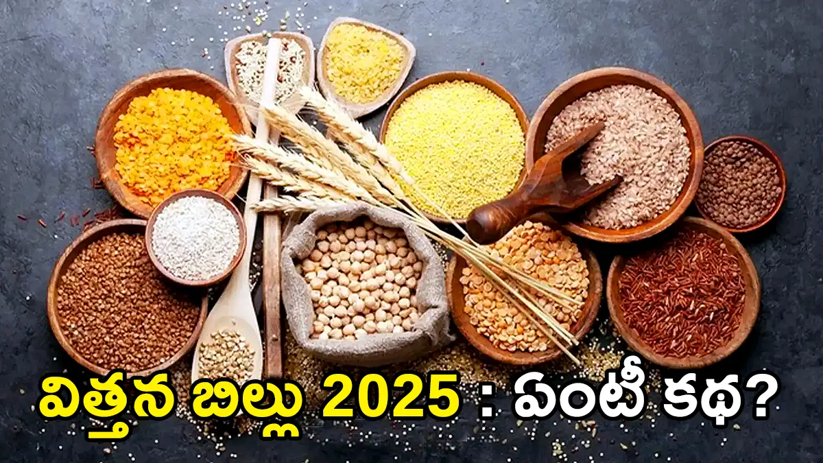 Seeds Bill 2025 | విత్తన బిల్లు 2025: రైతులకు రక్షణా? కార్పొరేట్లకు బహుమతా?