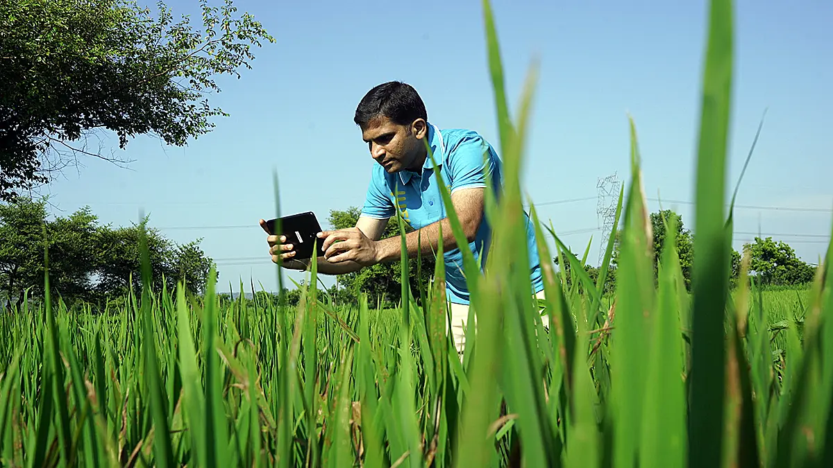 Indian farmer using tablet to monitor crops through agri-tech solutions in farmland