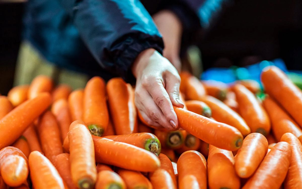Carrots For Skin And Hair | చ‌లికాలంలో చ‌ర్మ సంర‌క్ష‌ణ‌కు క్యారెట్ల‌ను రోజూ తినాల్సిందే.. ఎందుకంటే..?