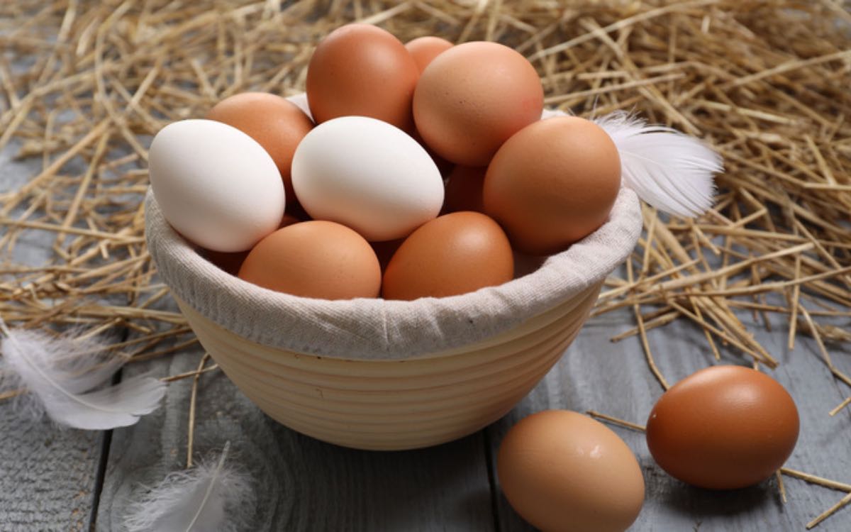 Eggs | కోడిగుడ్లను తింటే క్యాన్సర్ రాదు.. స్పష్టం చేసిన FSSAI..