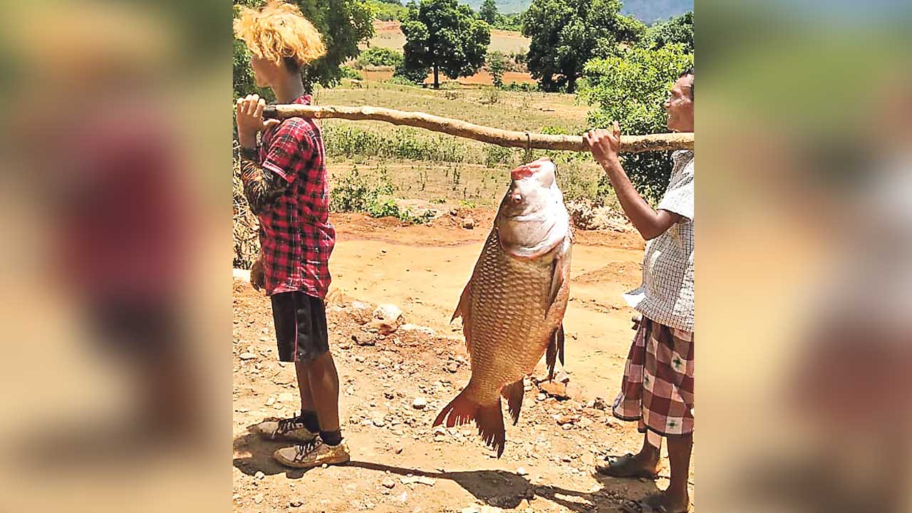 Fish | ఈ చేప ఖ‌రీదు అక్ష‌రాలా రూ. 15 వేలు..!