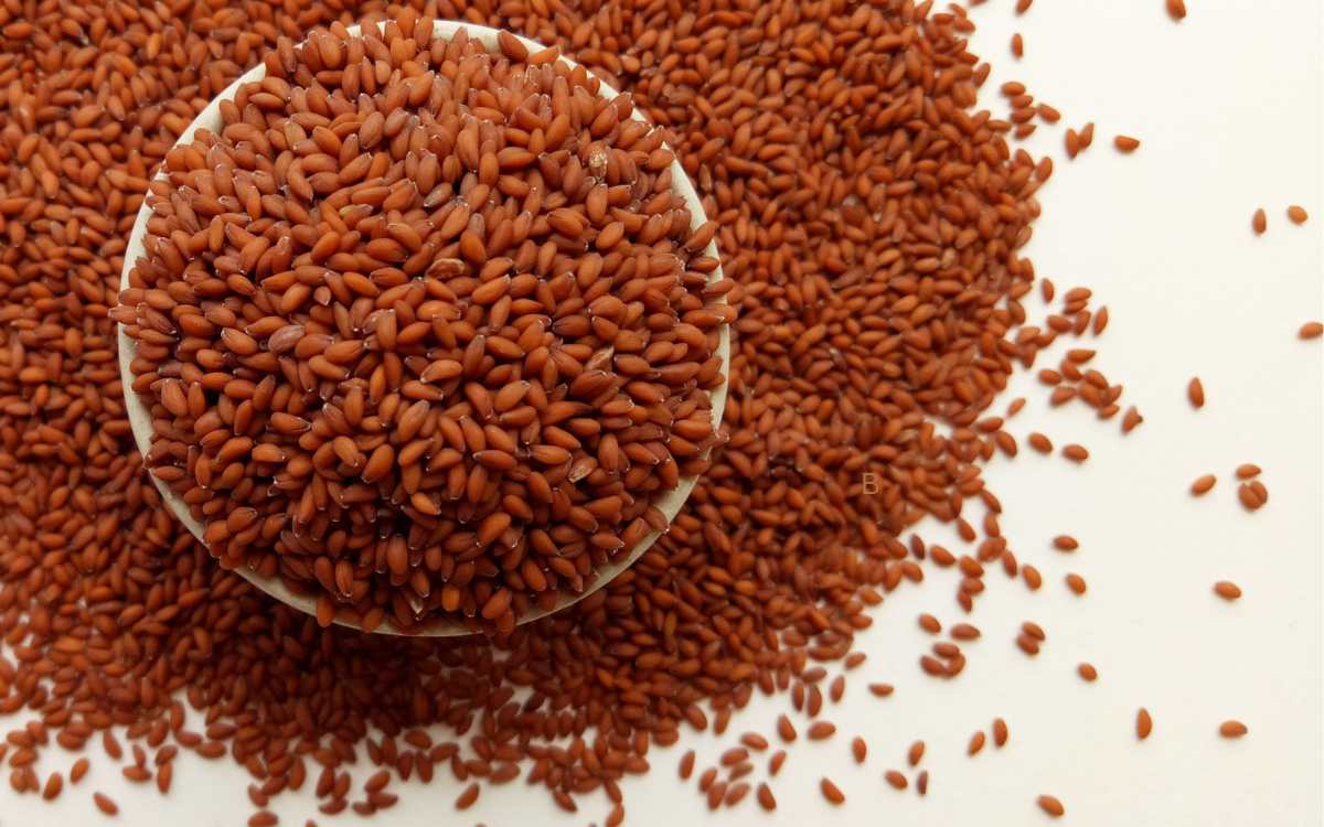 Halim Seeds | జుట్టు రాలడం, బలహీనమైన ఎముకలు, తక్కువ హిమోగ్లోబిన్.. అన్నింటికీ పరిష్కారం ఈ గింజలు..!