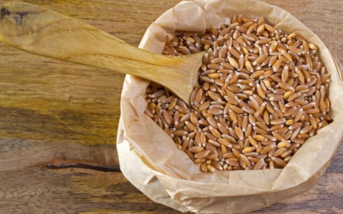 Khapli Wheat | ఈ గోధుమ‌లు చాలా కాస్ట్లీ.. ఇవి అందించే లాభాలు అలాంటివి మ‌రి..!