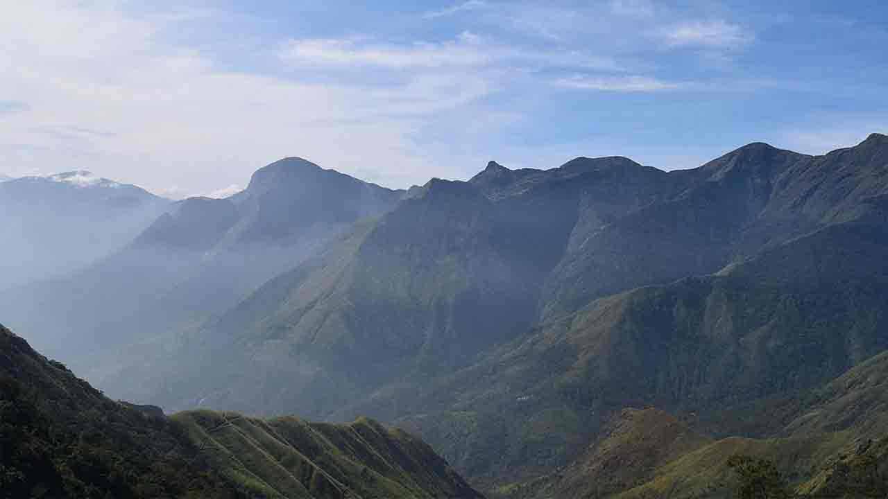 Forest Canopies | ఆకాశానికి పందిళ్లు ఈ అడవులు.. వీటిలో పర్యటిస్తే ఎన్ని బాధలు ఉన్నా మరిచిపోవాల్సిందే!
