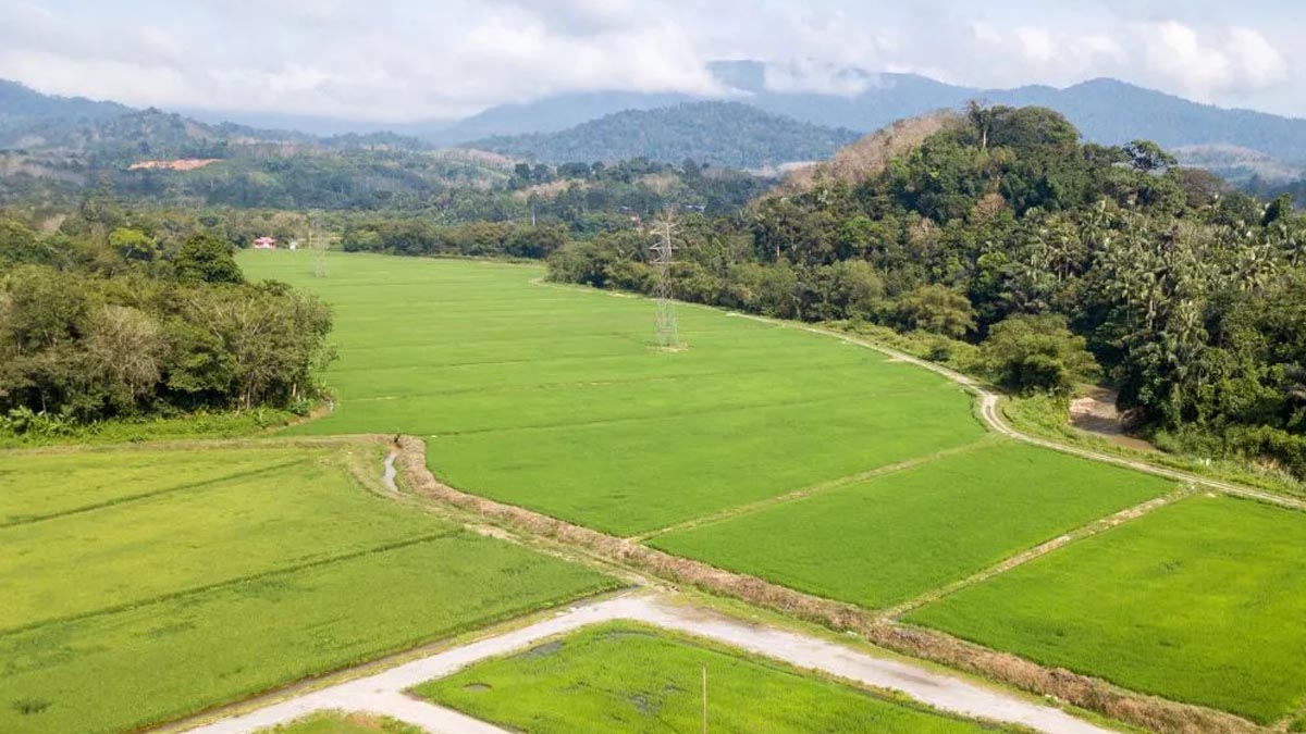 Industrial Land | ల్యాండ్ బ్యాంక్‌లో నెంబ‌ర్ వ‌న్‌గా తెలంగాణ‌.. డీపీఐఐటీ నివేదిక‌..!