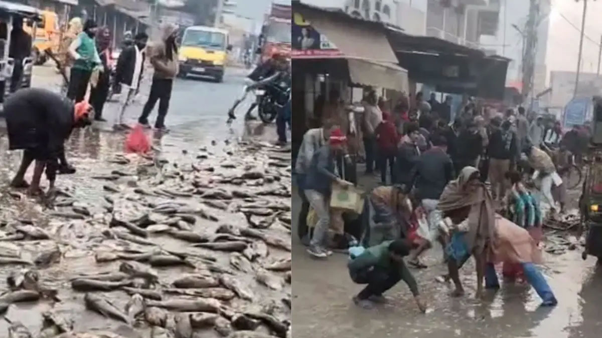 సైకిల్‌‌పై వెళ్తున్న బాలుడిని ఢీకొట్టిన చేపల ట్రక్.. బాలుడి మృతదేహాన్ని పట్టించుకోకుండా చేపల లూటీ