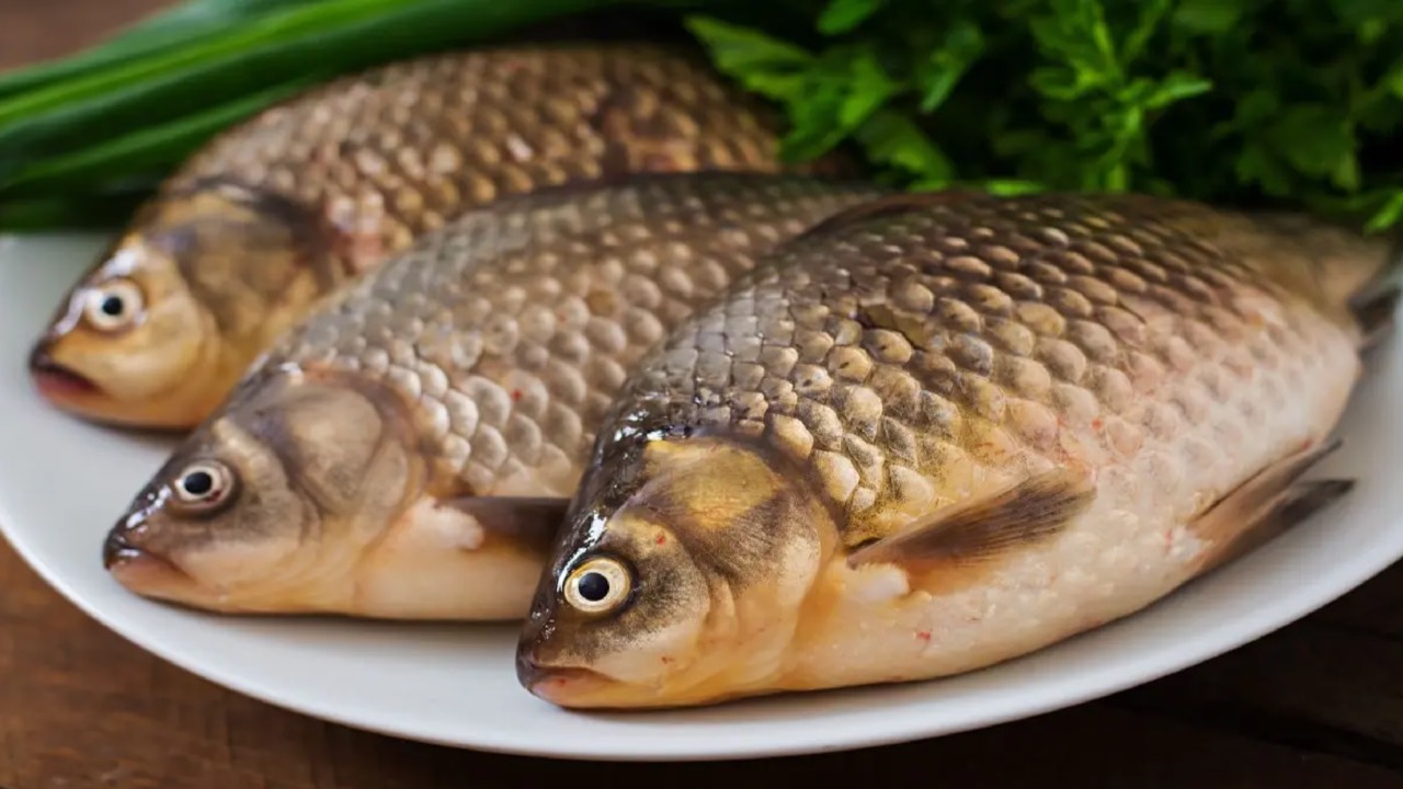 Boneless Fish | ఈ చేప‌ల్లో అస‌లు ముళ్లు ఉండ‌వు.. నూత‌న వెరైటీని అభివృద్ధి చేసిన సైంటిస్టులు..