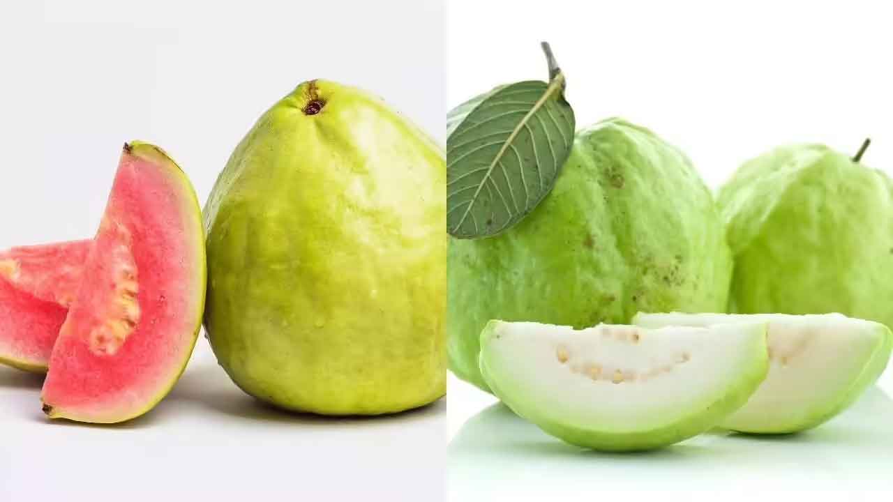 White Vs Pink Guava | తెలుపు వ‌ర్సెస్ పింక్‌.. ఏ రంగులో ఉండే జామ పండ్ల‌ను తింటే మంచిది..?